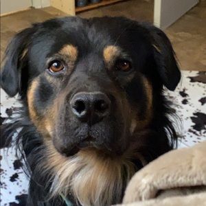 Meet your Posher, Sofia